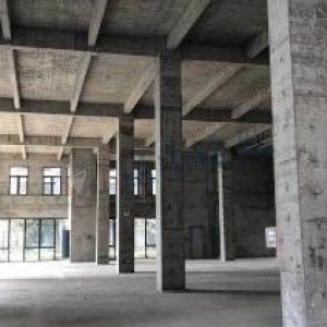 全新独栋厂房租售，价格可议