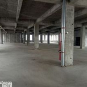 南通经开区新建三层独栋厂房出售  5